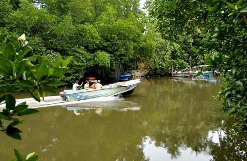 Riverdale Eco Resort เบอร์อูวาลา ภายนอก รูปภาพ