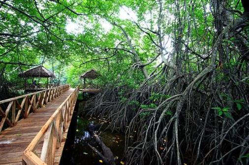 Riverdale Eco Resort เบอร์อูวาลา ภายนอก รูปภาพ